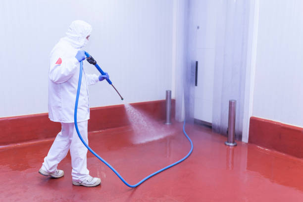 Best Parking Lot Cleaning in Sky Lake, FL